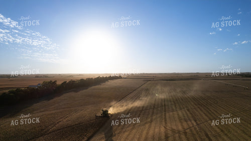 Soybean Harvest 65970