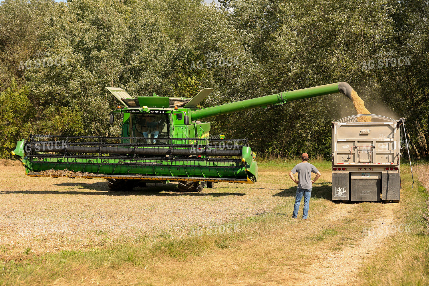 Combine Emptying Soybeans Into Semi 52534