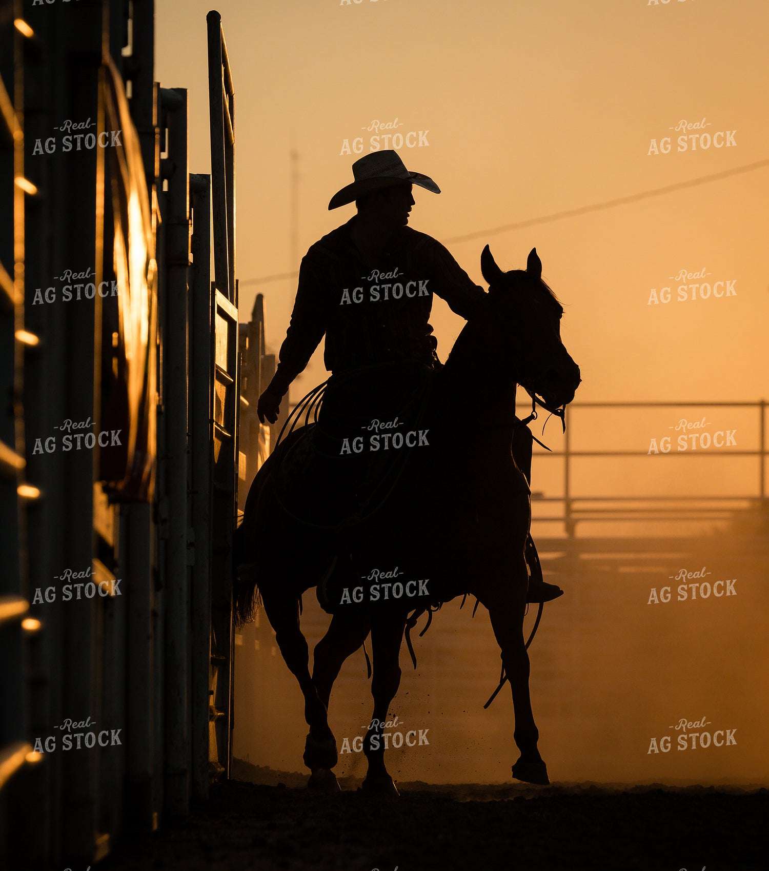 Rodeo 219130