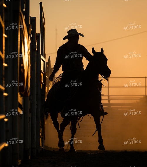 Rodeo 219130