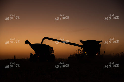 Corn Harvest at Dusk 76310