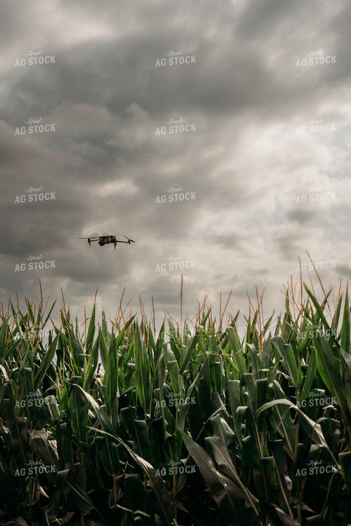 Scouting Fields With Drone 196350