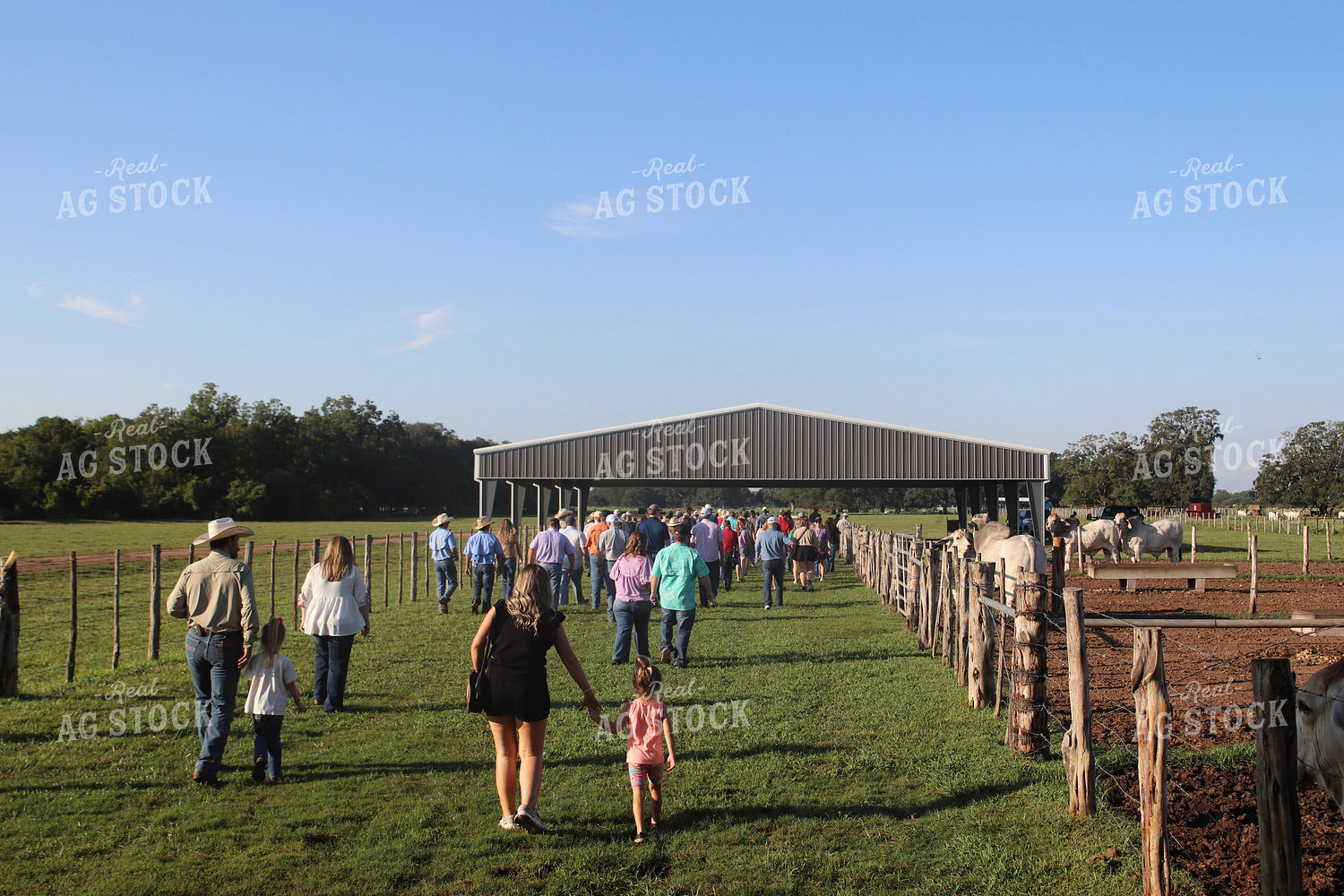 Brahman Ranch Tour 102171
