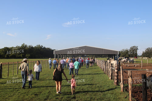 Brahman Ranch Tour 102171