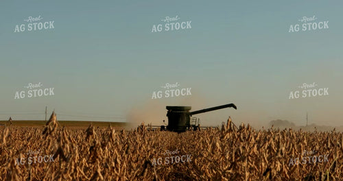Combine Harvesting Soybeans 5381