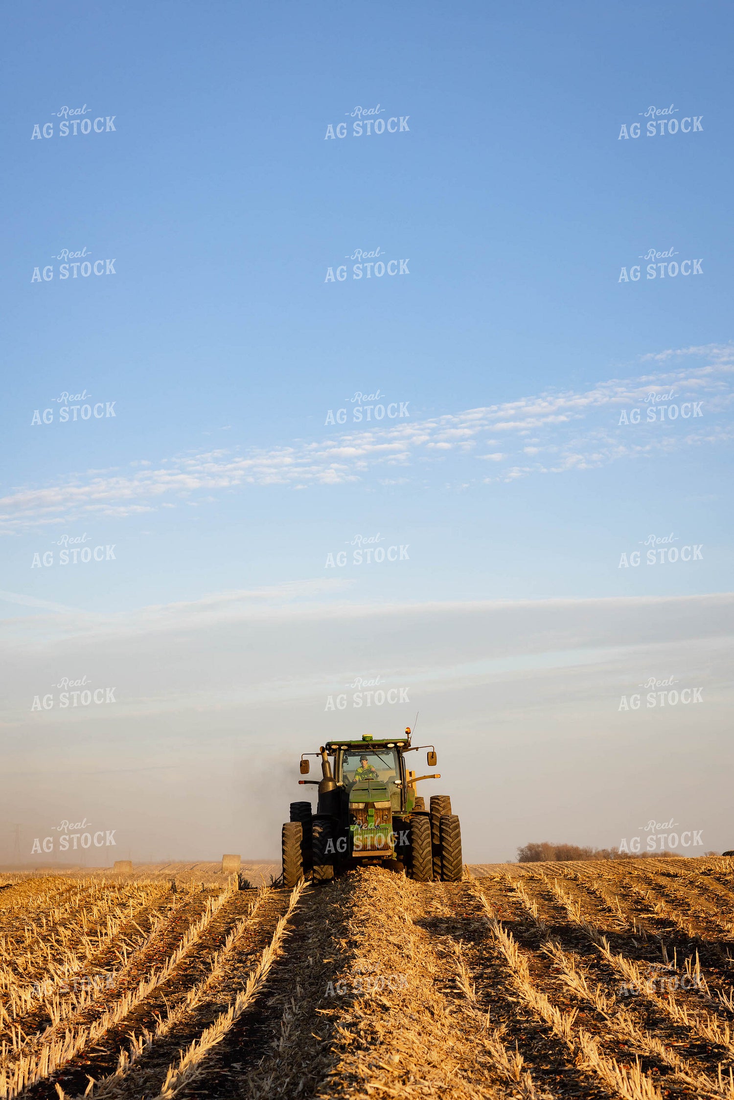 Making Corn Stalk Bales 152364