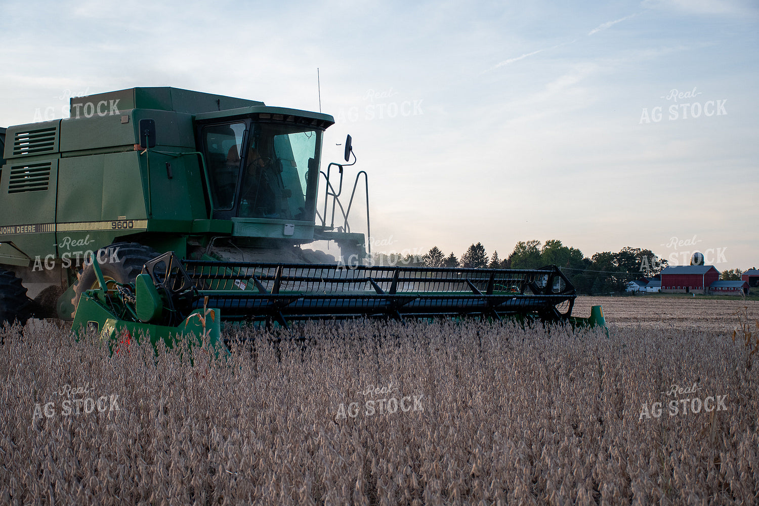 Soybean Harvest 50303