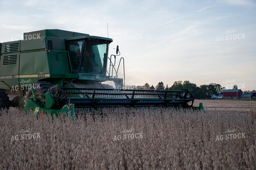 Soybean Harvest 50303