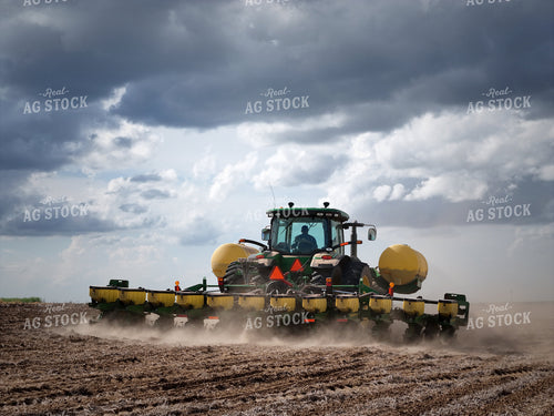 Planting 239166