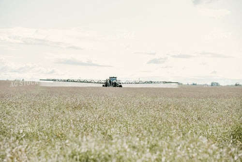 Spraying Wheat 64100