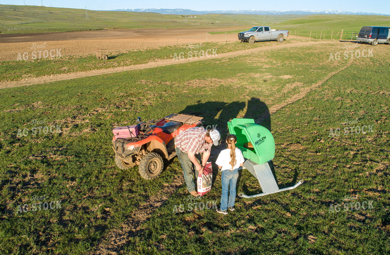 Aerial of Farmer and Daughter Feeding Cattle 122051