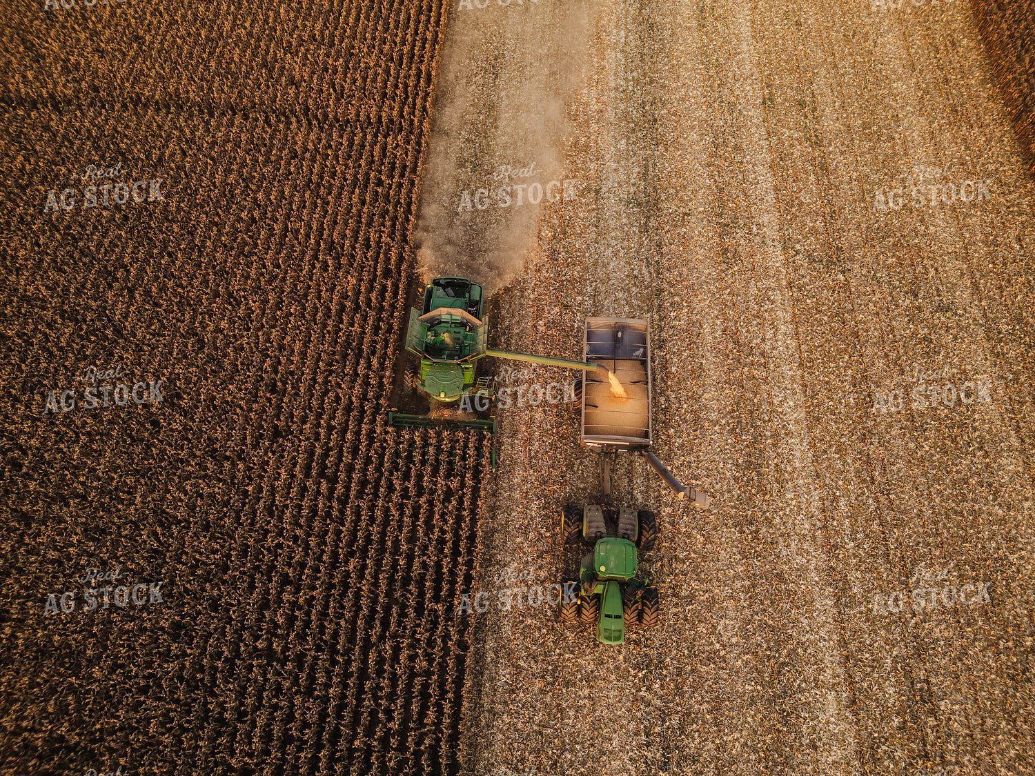 Aerial of Corn Harvest 115341