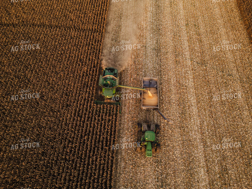 Aerial of Corn Harvest 115341