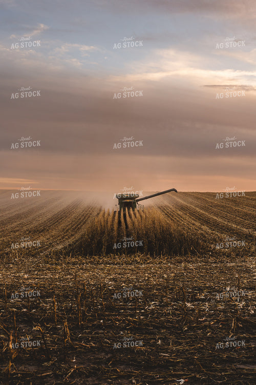 Harvest 196035