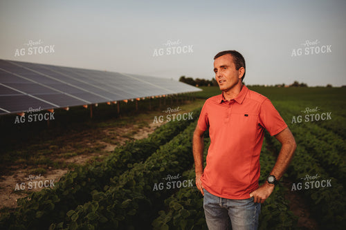 Farmer with Soybean Field and Solar Panels 4611