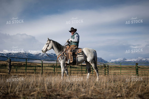 Rancher on Horseback 219063