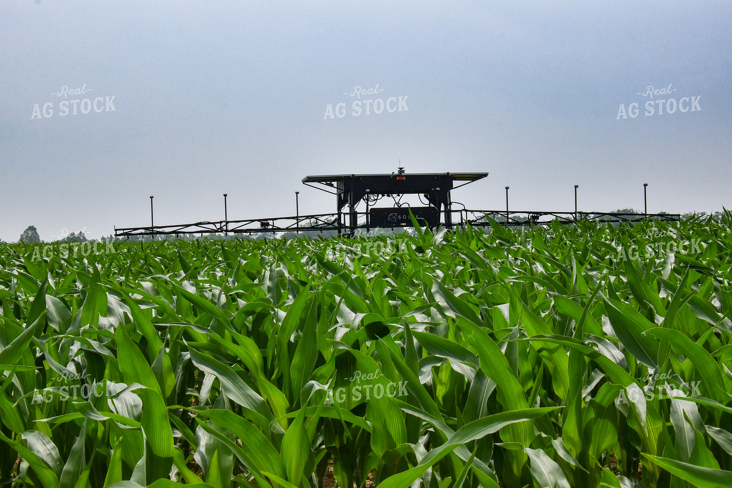Solar Powered Autonomous Sprayer 84173