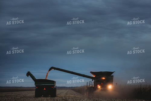 Corn Harvest 8640