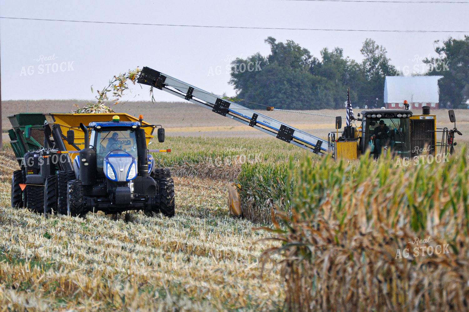Seed Corn Harvest 103048