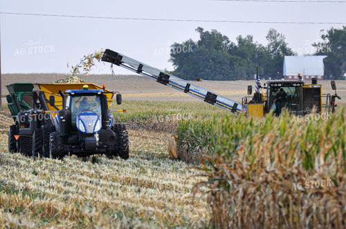 Seed Corn Harvest 103048