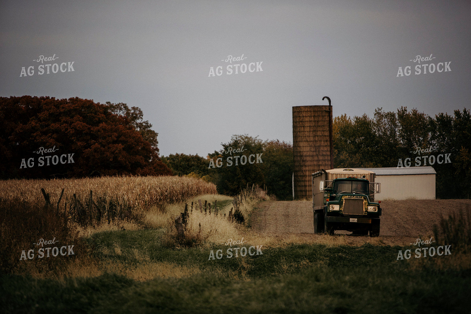 Harvest 2634