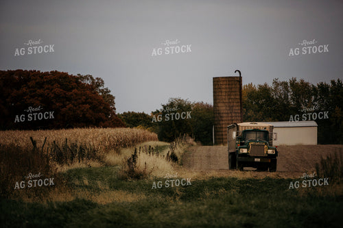 Harvest 2634
