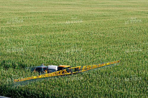 Sprayer Spraying Summer Corn 103012