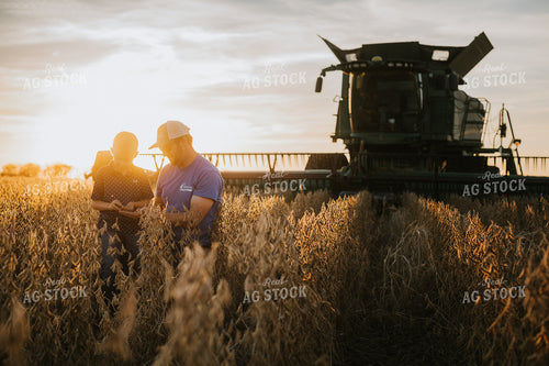 Farmer and Son Touching Soybeans in Field 6976