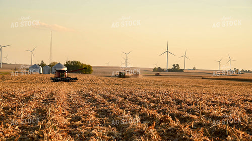 Three Combines Harvesting Corn 25778