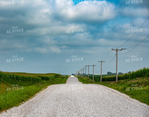 Rural Road 302059