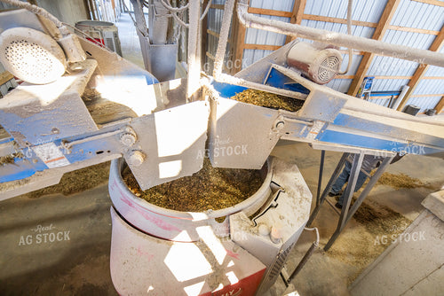 Filling Robotic Feeder 270284