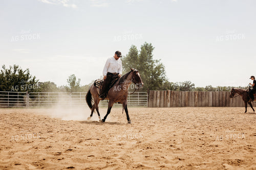 Riding Horse in Arena 281089