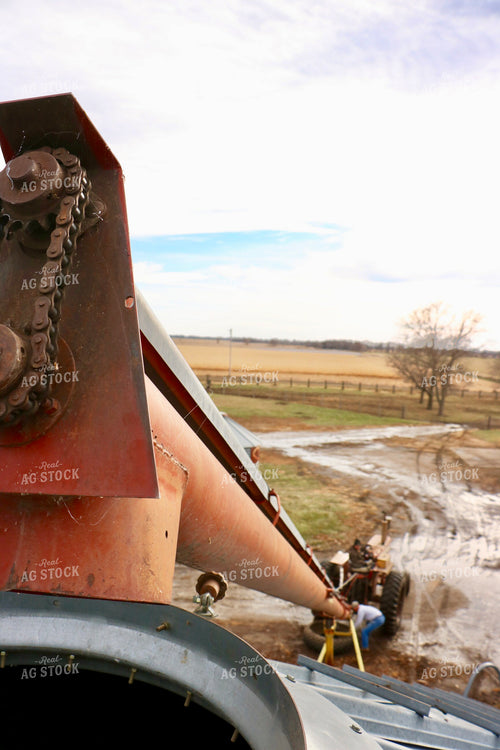 Farmers Setting Up Grain Auger 299285