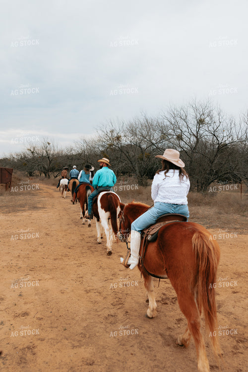 Trail Ride 205136