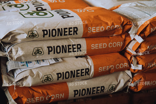 Pioneer Seed Corn 67214