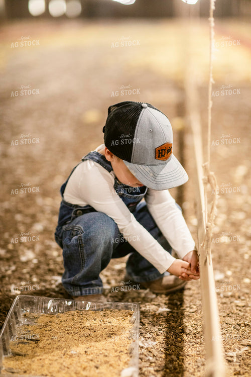 Farm Kid in Chicken Barn 280018