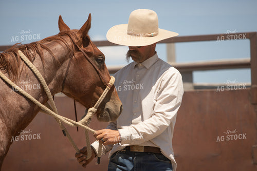 Training Colts 78247