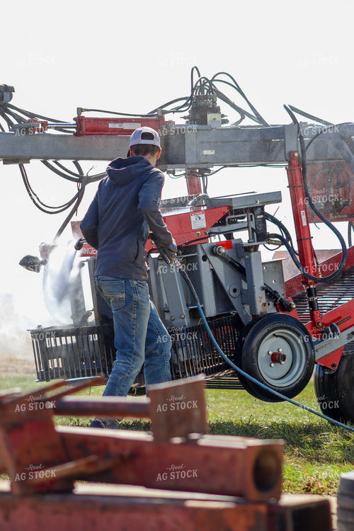 Farmer Washing Tomato Picker 109033
