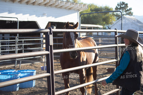 Female Rancher Feeding Horse 117086