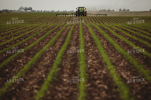 Side Dressing Fertilizer in Corn Field 5745