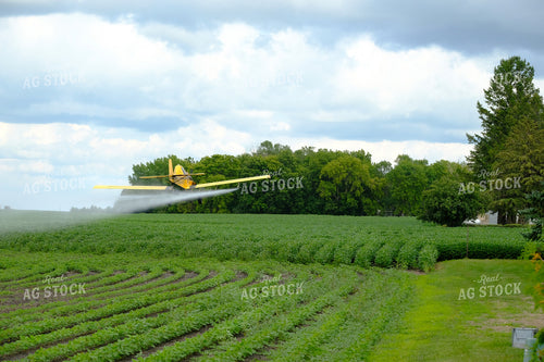 Crop Duster Spraying Soybean Field 154097