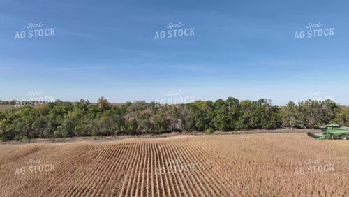 Soybean Harvest 236001