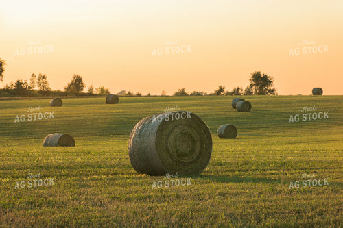 Hay Bales 145029