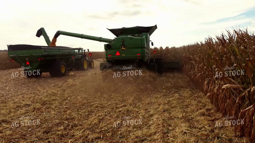 Corn Harvest 287007