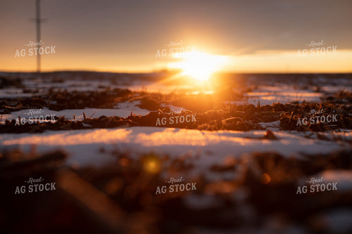 Sunrise Over Snowy Tilled Corn Field 3804