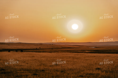 Rural Landscape at Sunset 58193