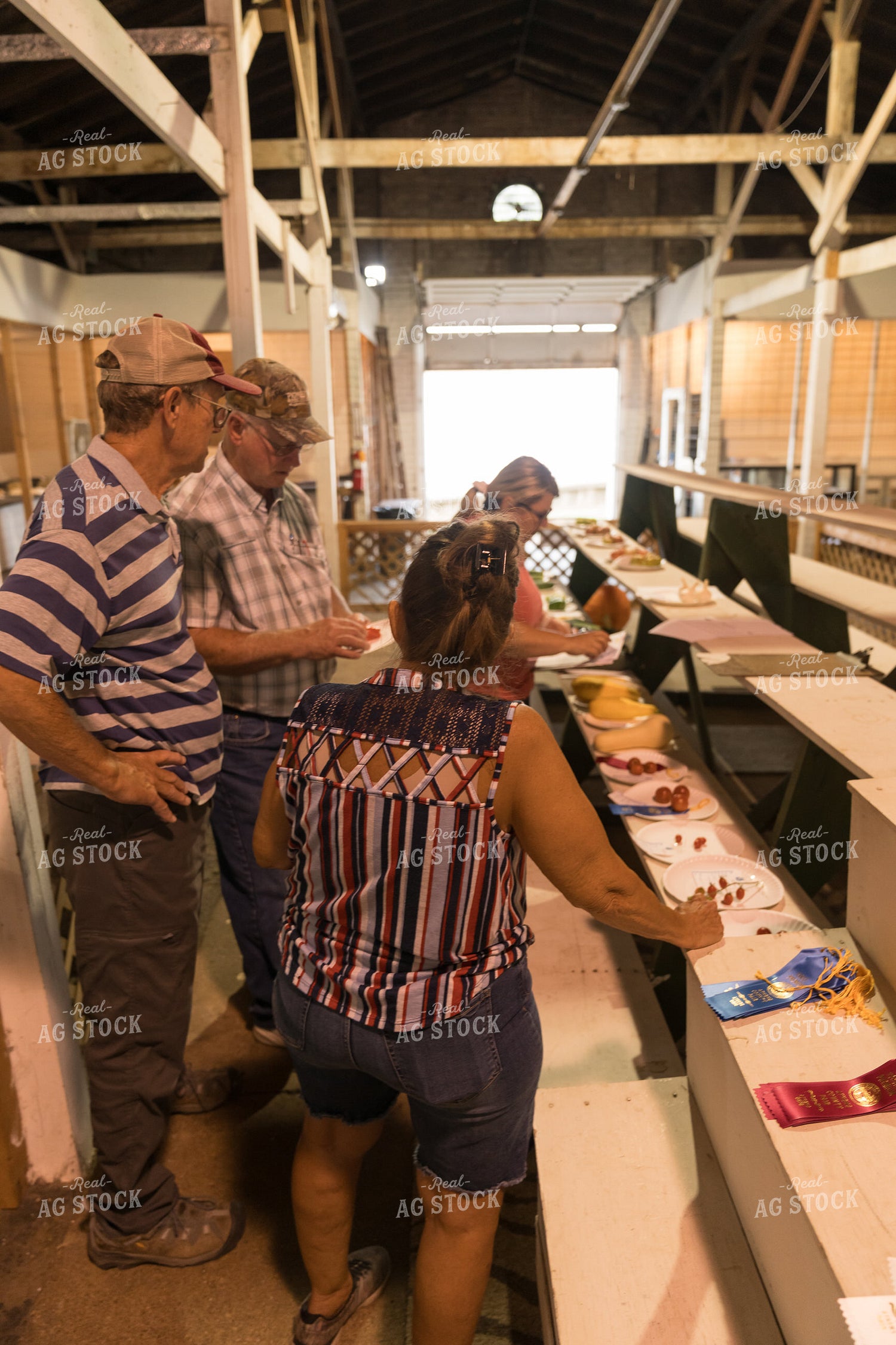 Judging County Fair Open Show 295083