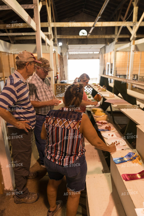 Judging County Fair Open Show 295083