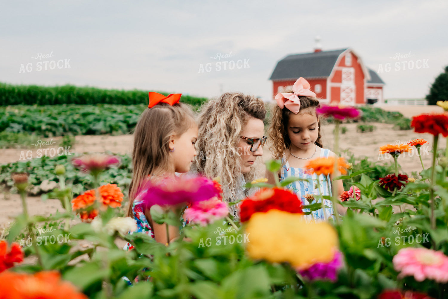 Picking Flowers 218061