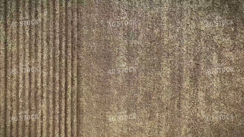 Aerial of Strip Till 56747